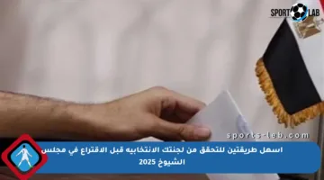 أسهل طريقتين للتحقق من لجنتك الانتخابية قبل الاقتراع في مجلس الشيوخ 2025